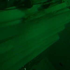 Meet your Posher, Tianna